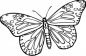 Schmetterling 008 - Set