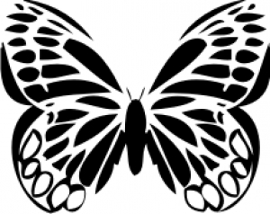 Schmetterling 001