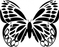 Schmetterling 001